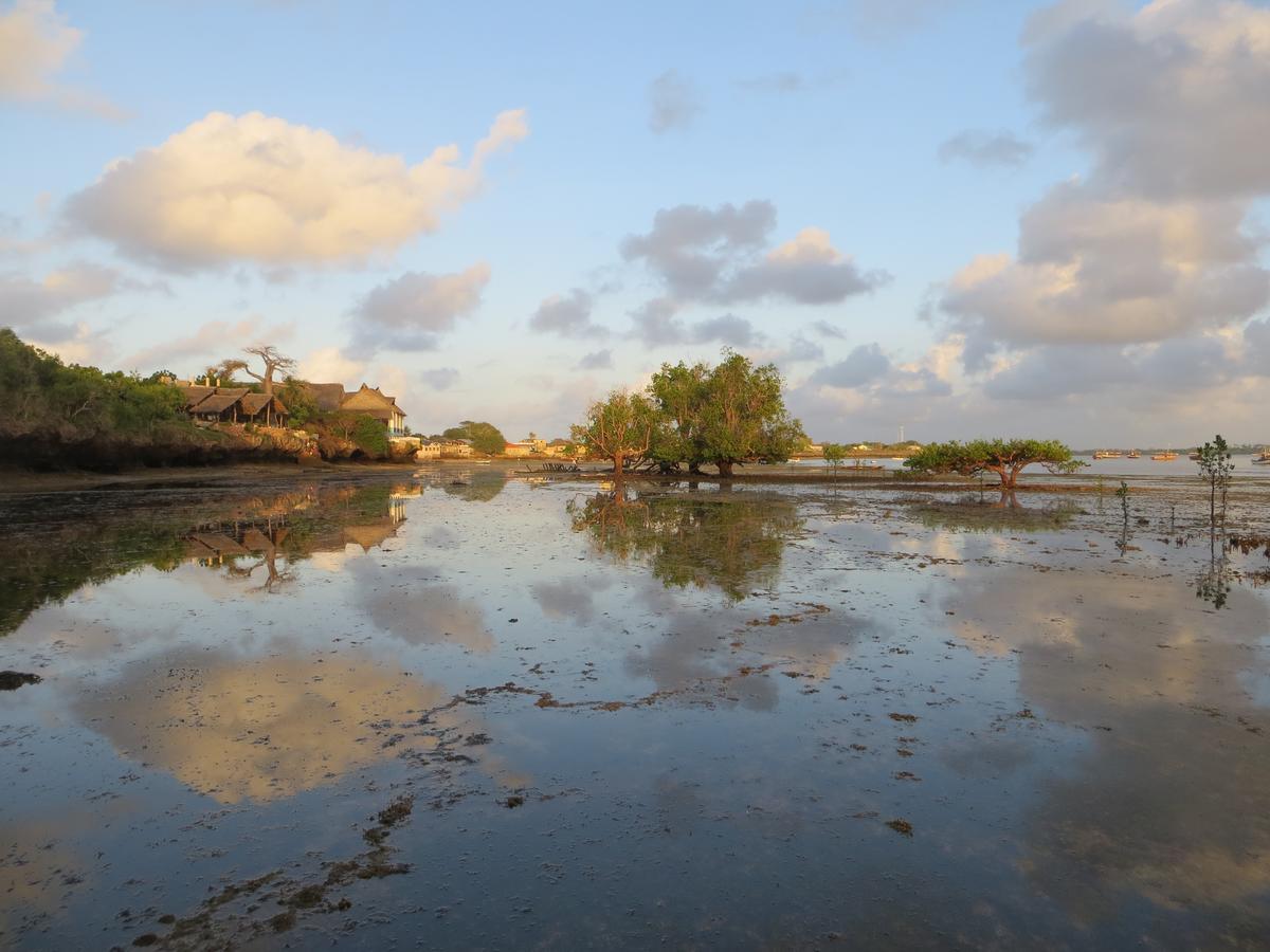 Blue Monkey Beach Cottages Shimoni Exterior foto