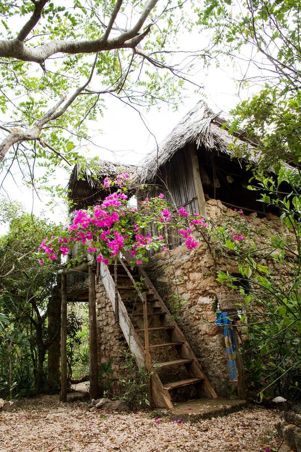 Blue Monkey Beach Cottages Shimoni Exterior foto